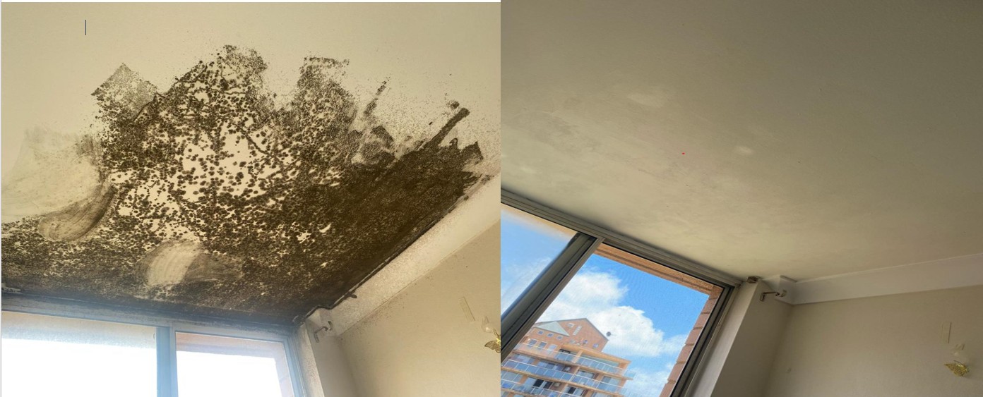 Before and after image of Mould Removal Services